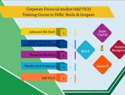 Remote Work & Global Opportunities: Why Financial Analyst is a Smart Choice in 2025, 100% Job, Financial Modelling Course in Delhi, 110073 – by SLA Consultants India