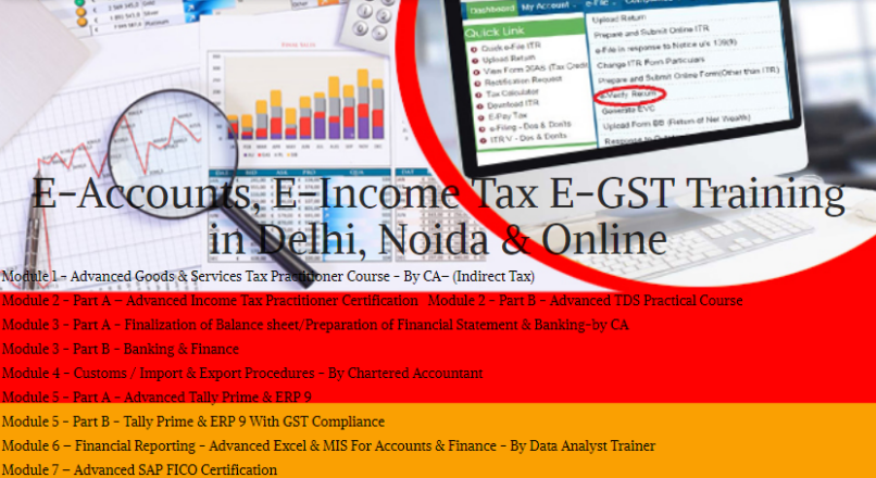 Tally ERP 9 and Accounting Course in Delhi. Job Oriented GST Course in Delhi, 100 Job Guarantee,